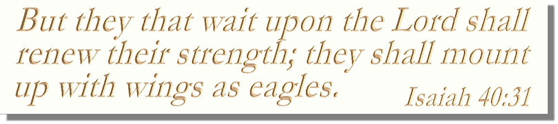 But they that wait upon the Lord shall renew their strength; they shall mount up with wings as eagles  Isaiah 40:31